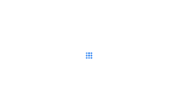 rapidrepair.de