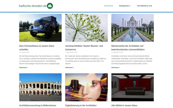 haifische-dresden.de