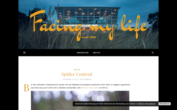 www.facing-my-life.de