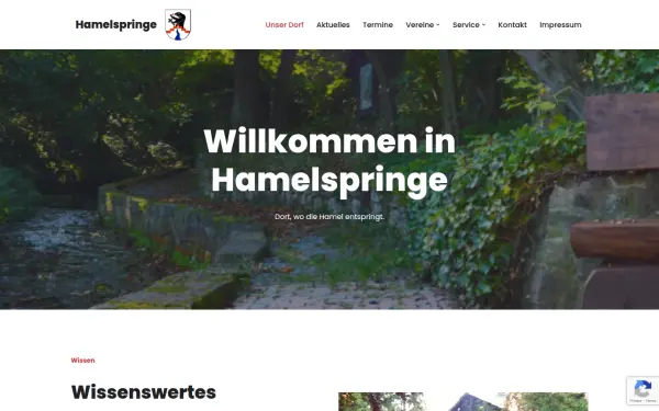 www.hamelspringe.de
