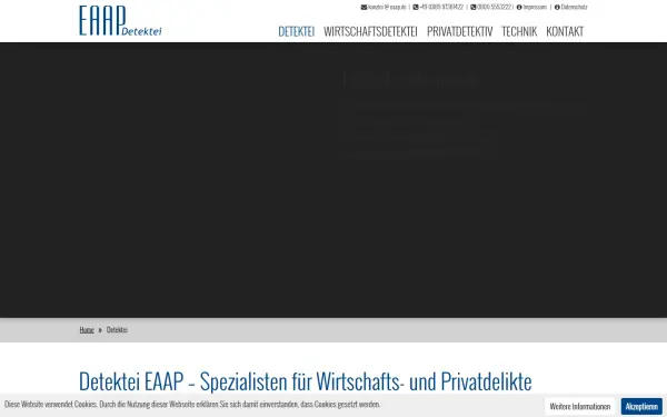 detektei-wirtschaftsdetektei.de