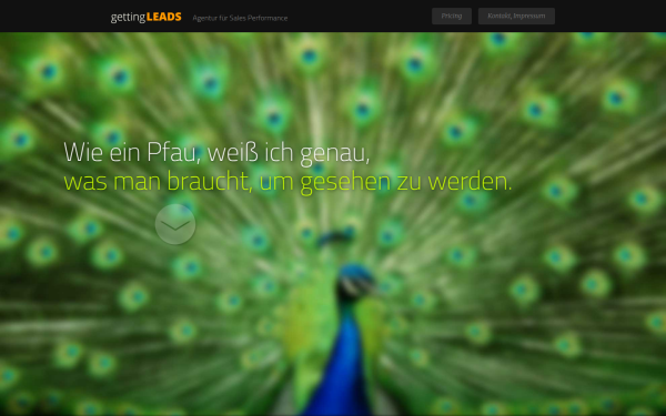 getting-leads.de
