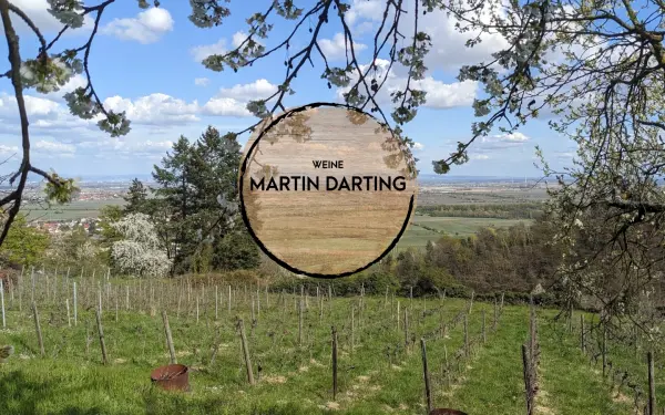 www.martin-darting.de