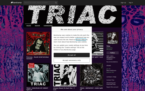 triacgrind.bandcamp.com