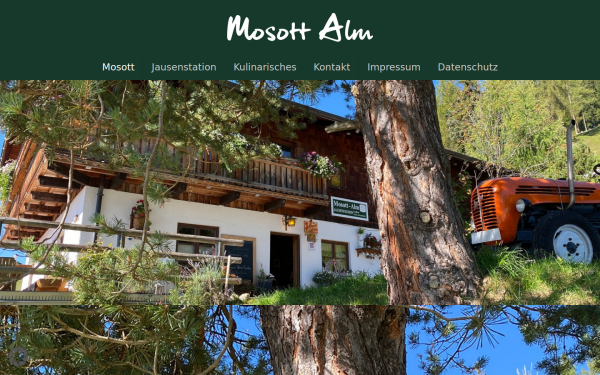 www.mosott.at
