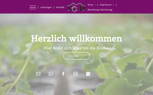www.gaertnereikoch.de
