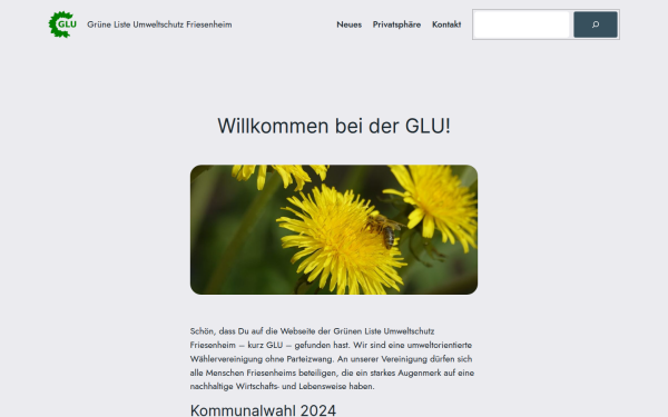 glu-friesenheim.de