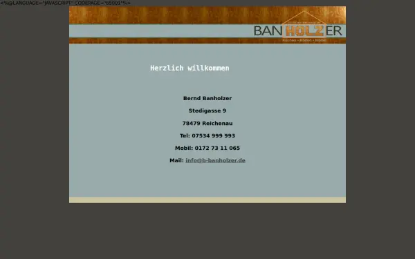 b-banholzer.de