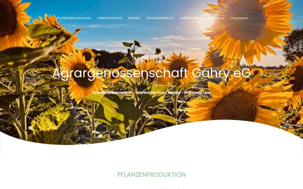 www.ag-gahry.de