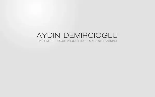 aydindemircioglu.de