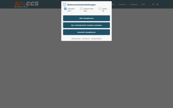 bi-ccs.de