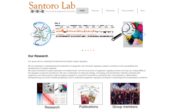 www.santorolab.org