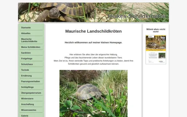 heikes-schildkroeten.de