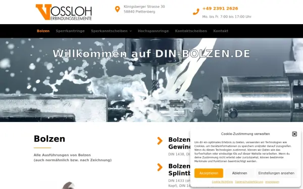 din-bolzen.de