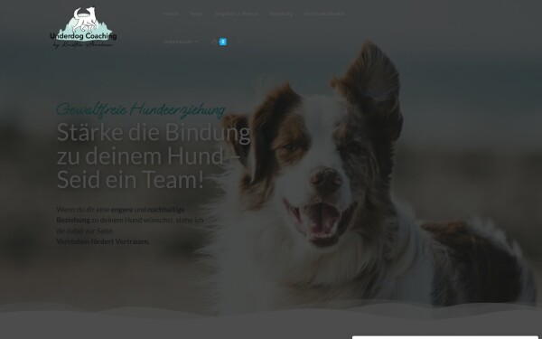 underdogcoaching.de