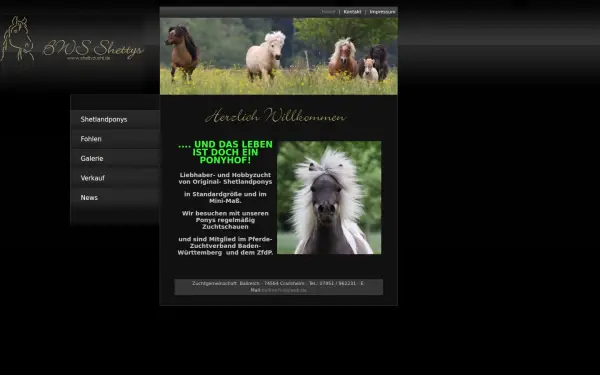 www.shettyzucht.de