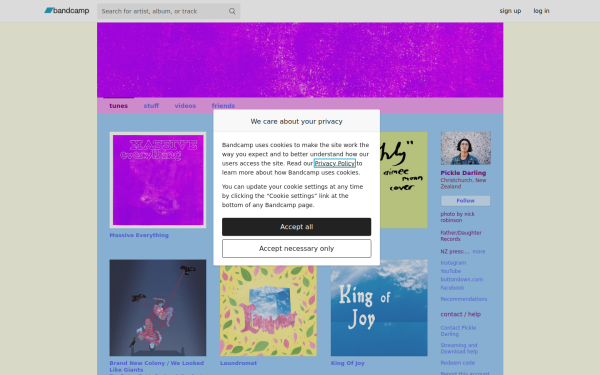 pickledarling.bandcamp.com