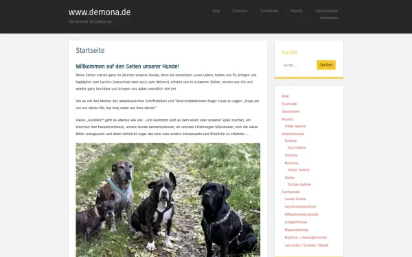 www.demona.de