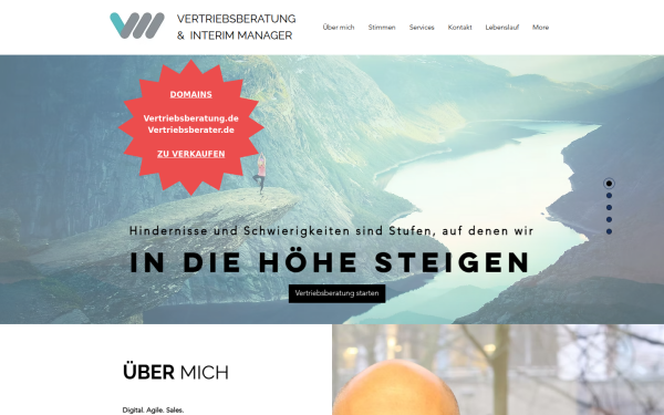 www.vertriebsberatung.de