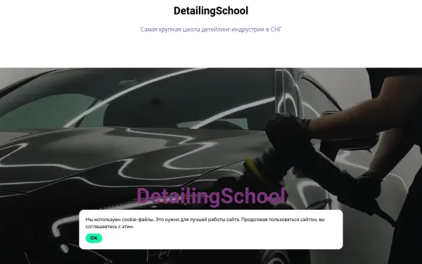 schooldetailing.ru