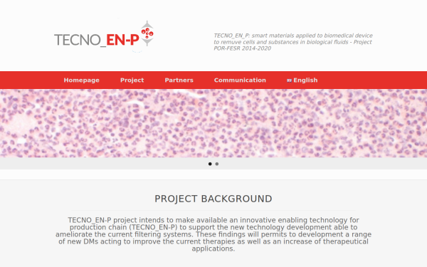 www.tecnoenp.com