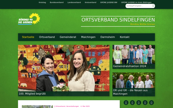 gruene-sifi.de