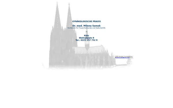 drsamek.de