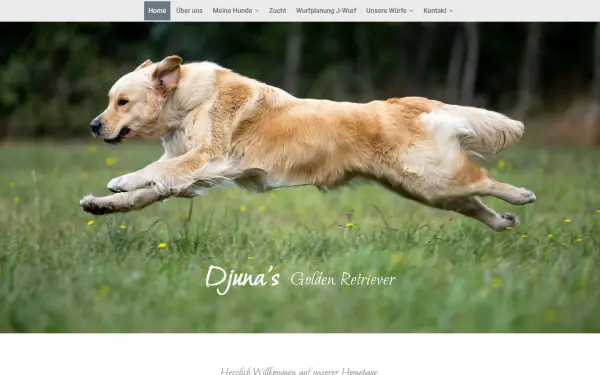 djunas.de