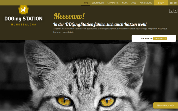 www.dogingstation.de