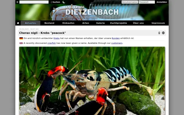 www.aquarium-dietzenbach.de