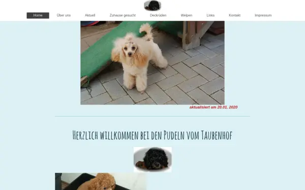 www.pudelvomtaubenhof.de