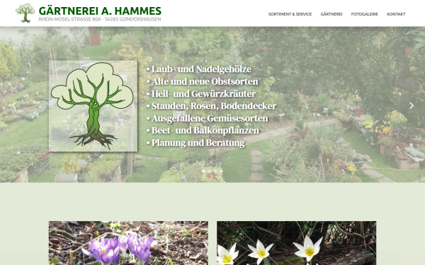 gaertnerei-hammes.de
