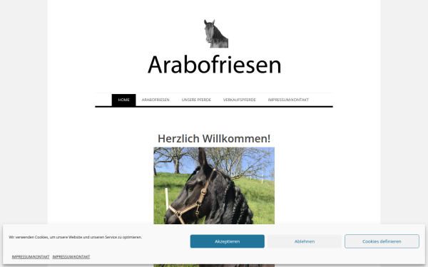 arabofriesen.at