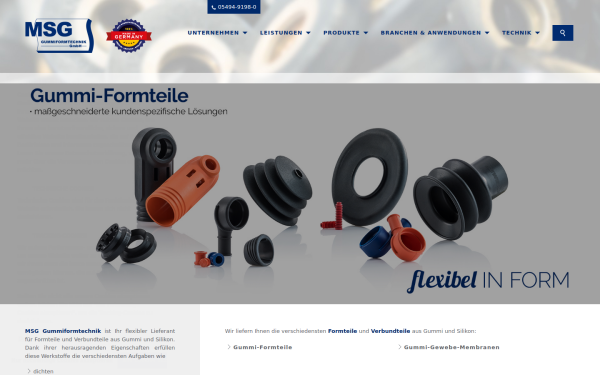 www.msg-online.de