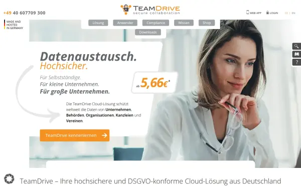teamdrive.com