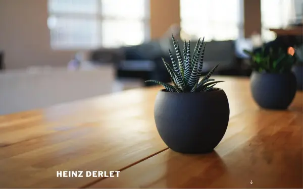 heinzderlet.de