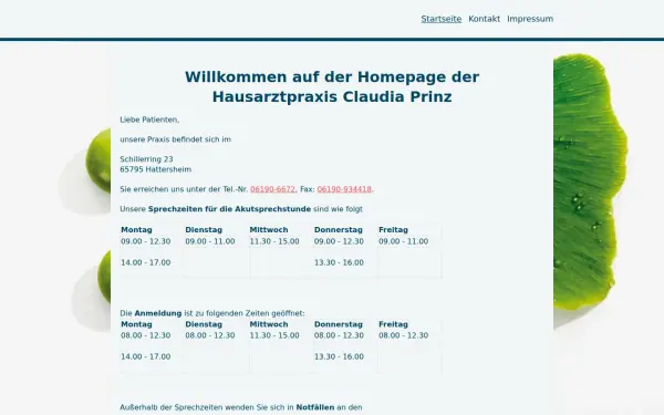 www.hausarztpraxis-prinz.de