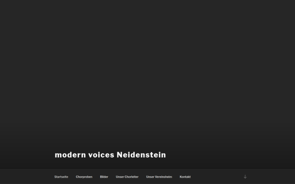 modern-voices.de