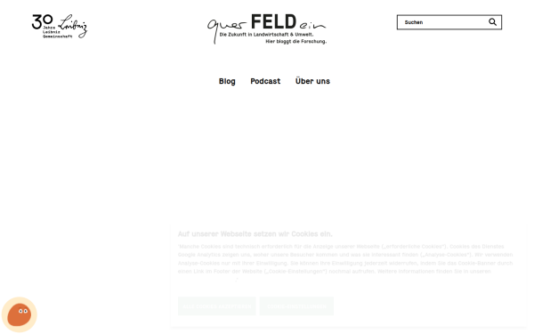 www.quer-feld-ein.blog