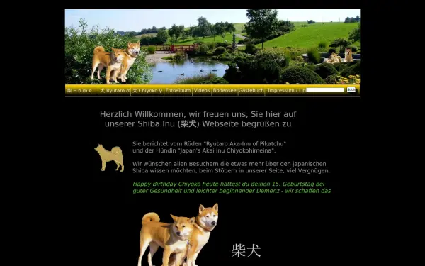 der-shiba-inu.de