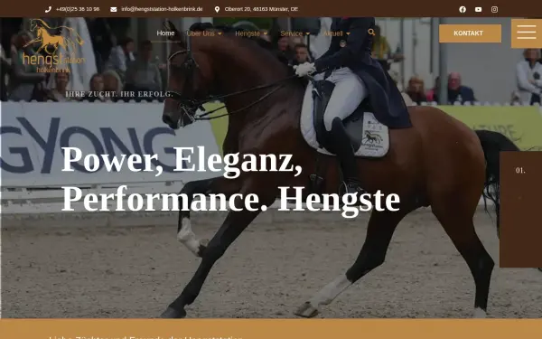 hengststation-holkenbrink.de