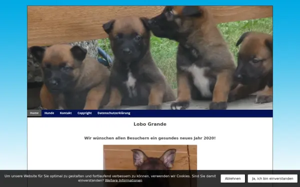 www.lobogrande.de