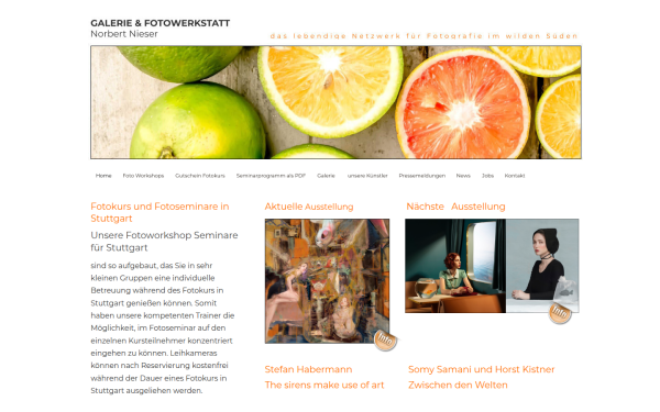 galerie-nieser.de