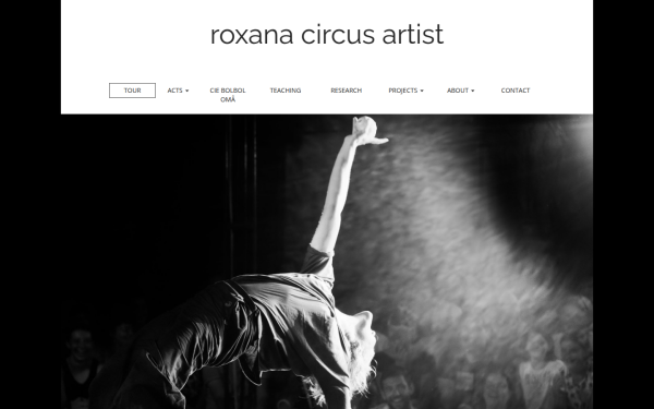 roxanacircusartist.com