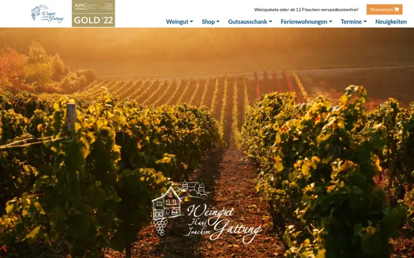 www.weingut-gattung.de