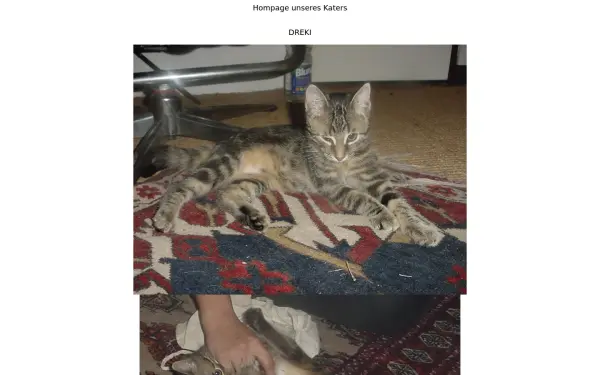 dreki.de
