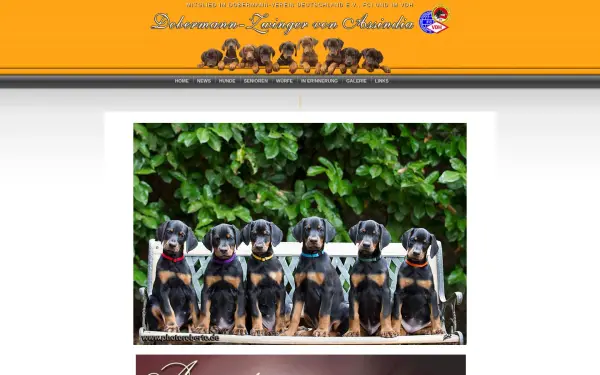 dobermannzwinger-von-assindia.de