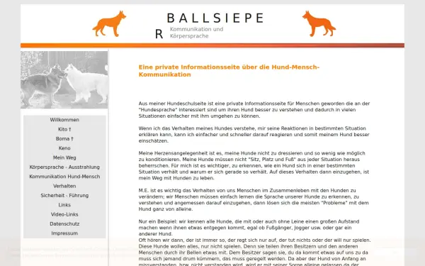 ballsieper-edv.de