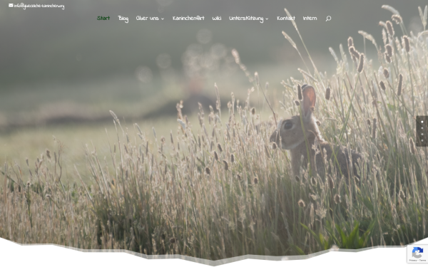 glueckliche-kaninchen.org
