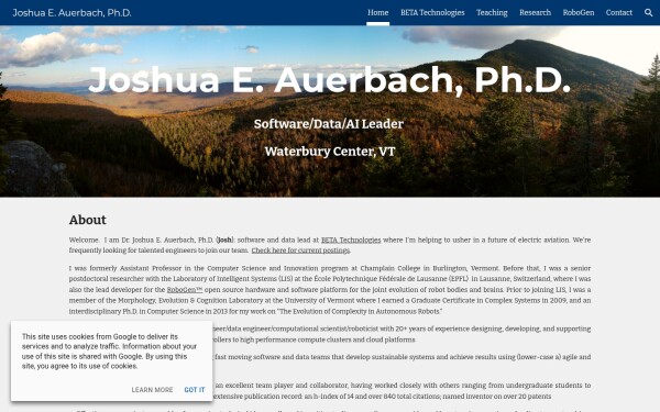 www.joshuaeauerbach.com